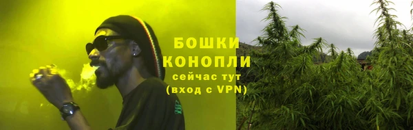 прущая мука Ельня