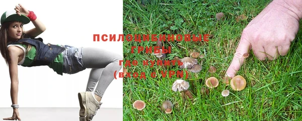 а пвп мука Елабуга