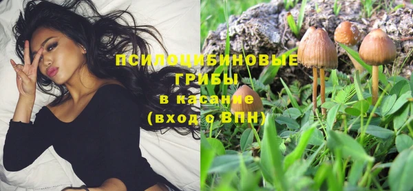 кокс Сосновка